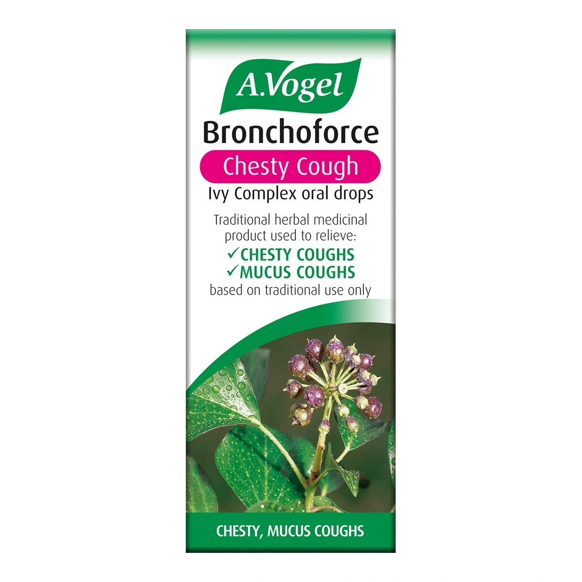 Bronchoforce Chesty Cough Ivy Complex oral drops