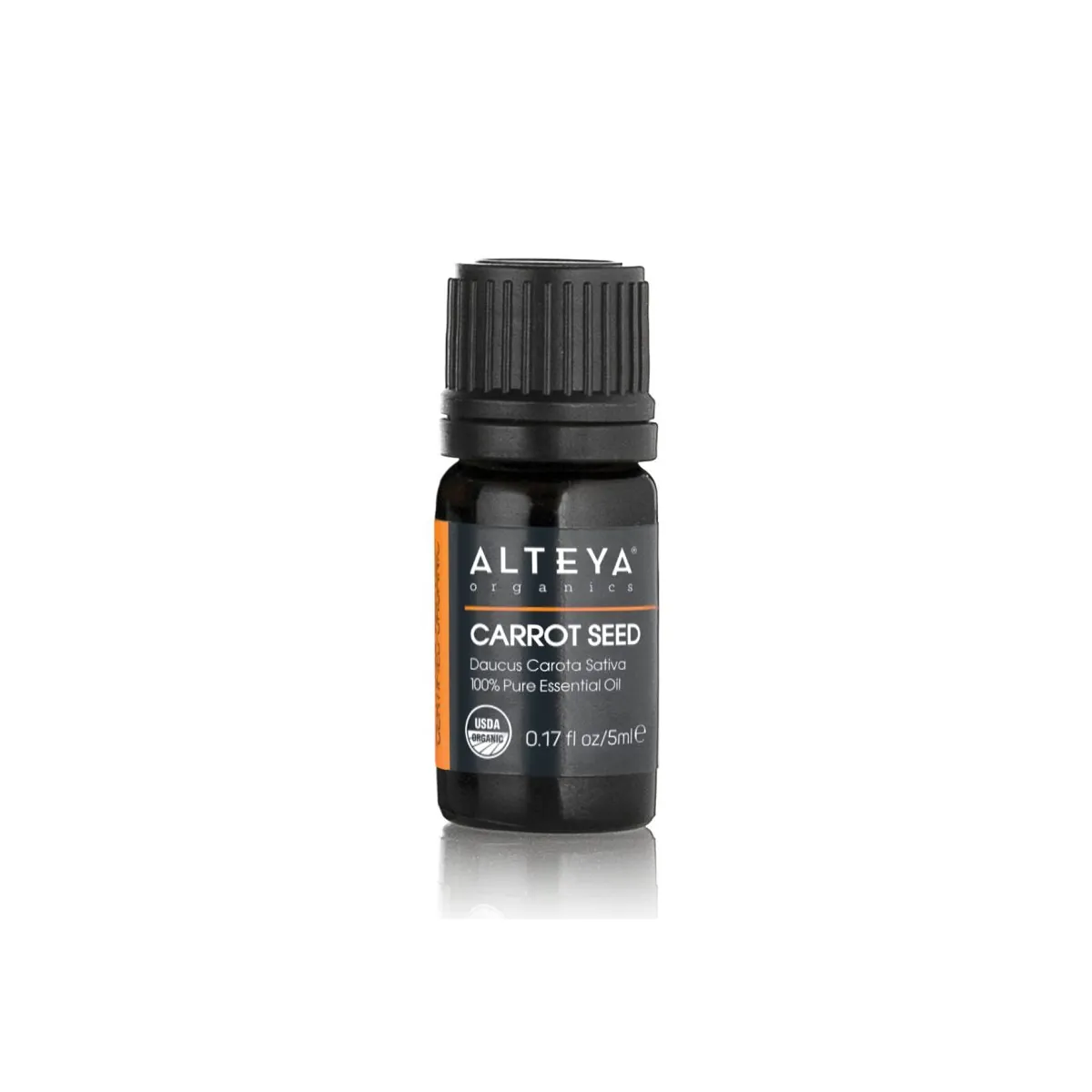 Carrot Seed (Daucus Carota Sativa) 100% Organic Essential Oil