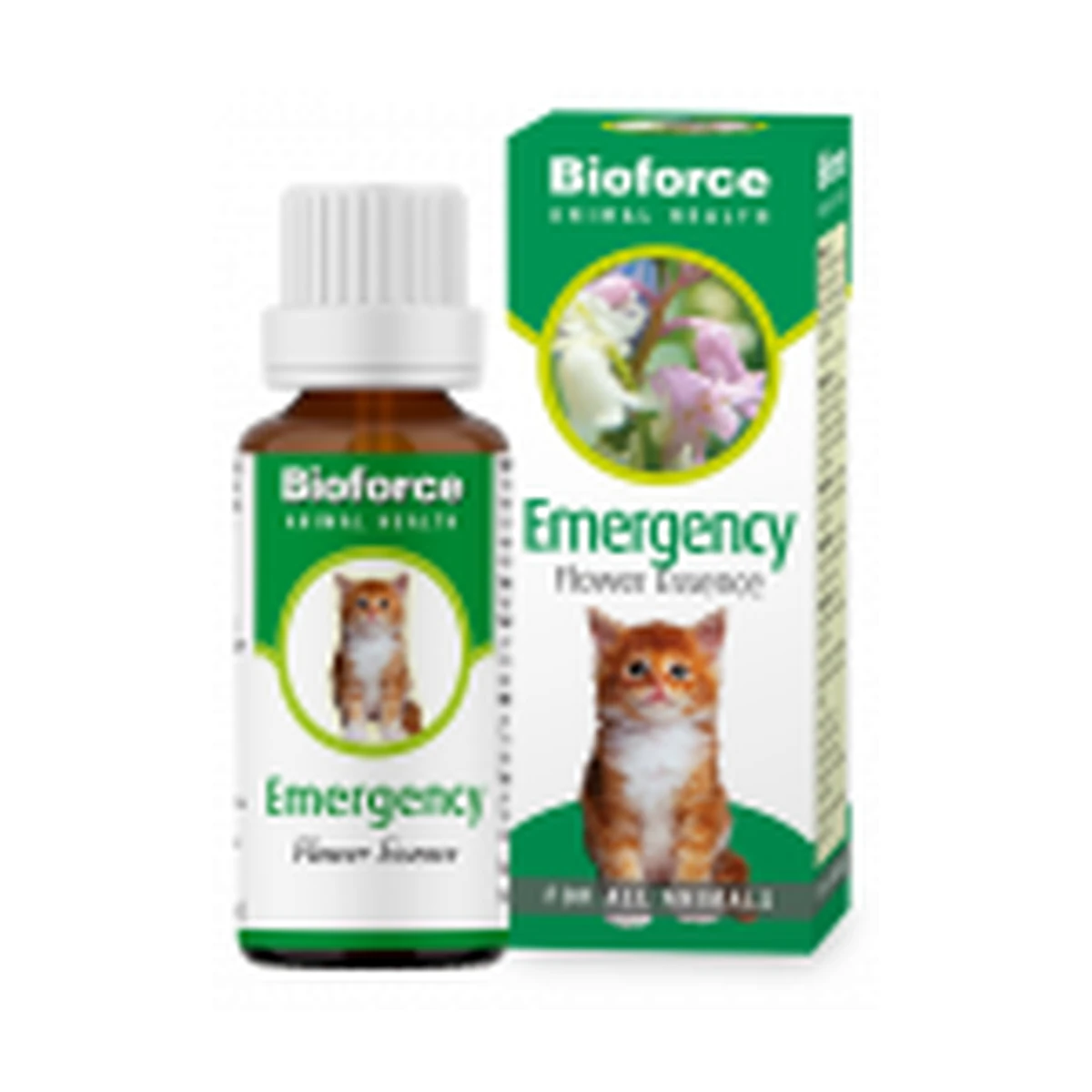 Emergency Essence