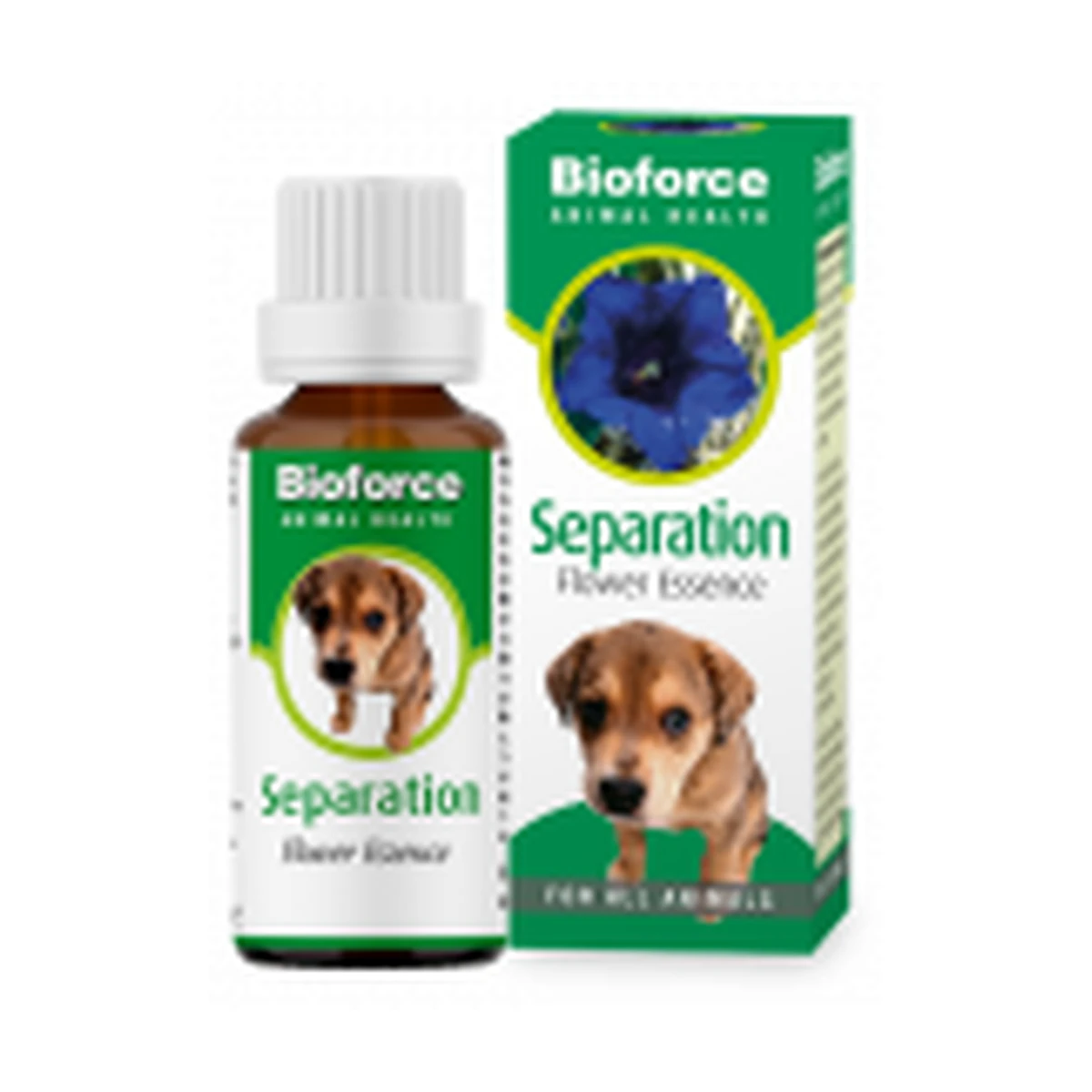 Separation Essence