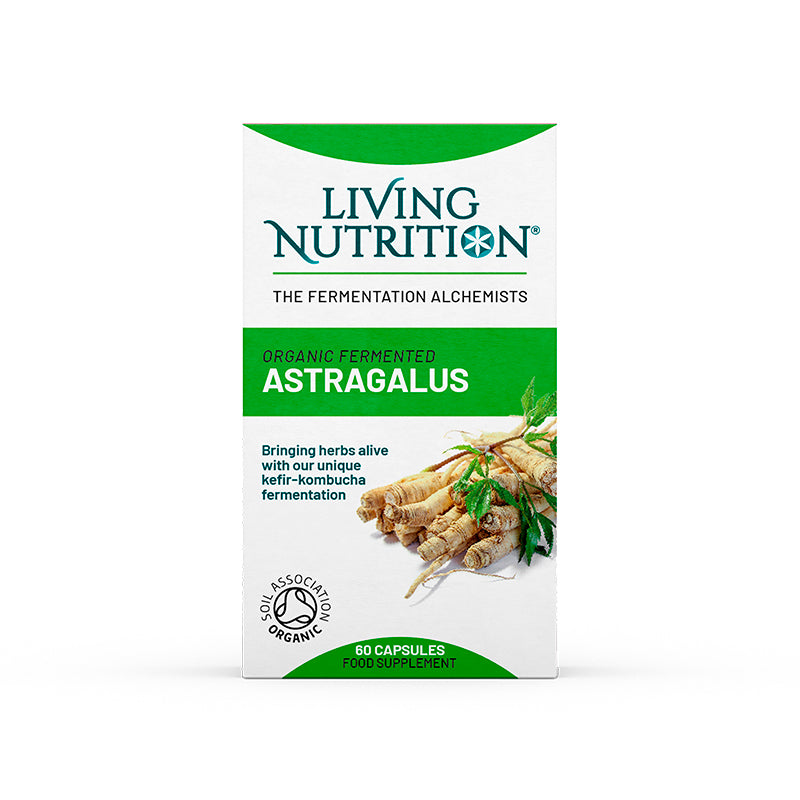 Organic Fermented Astragalus